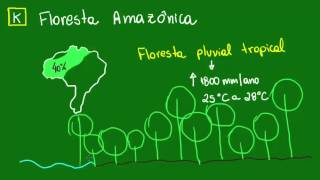 Floresta Amazônica  Ecologia  Biologia [upl. by Annhej999]