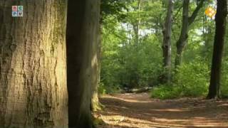 Natuur in de stad  Bergen op Zoom [upl. by Sathrum]