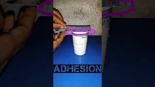 Adhesion  mathamotabiggani experiment adhesion magic [upl. by Daisy191]