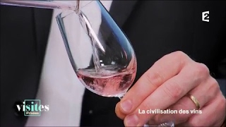 La vraie vie de la Veuve Clicquot qui révolutionna le vin de Champagne  Visites privées [upl. by Allis554]