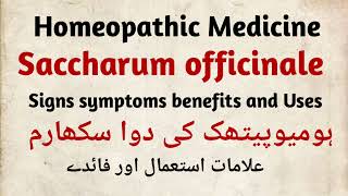 Saccharum officinale q 30 200 homeopathic medicine signs symptoms benefits and Uses in Hindi in Urdu [upl. by Arlynne]