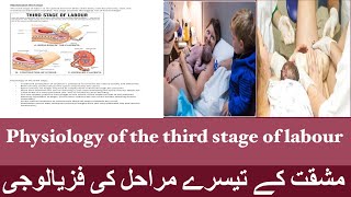 Physiology of the third stage of labor [upl. by Udale]