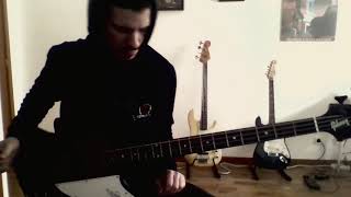 Tool  Schism bass cover [upl. by Mcclary710]