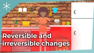 Reversible and irreversible changes [upl. by Emorej]