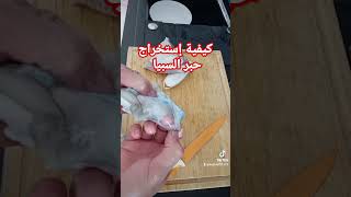 طريقة إستخراج حبر السبيا nettoyage سمك youtubeshorts youtube [upl. by Libb]