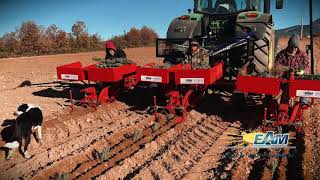 Planteuse à lavande 3 rangs EAM euroagrimat [upl. by Ttennej]