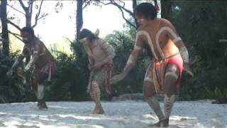 Australian Aboriginal Crane Dance [upl. by Leonore]