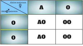 Tipos Sanguíneos  Sistema ABO e Fator Rh ImunoHematologia  Bio Aulas [upl. by Akenahs690]