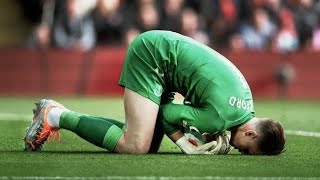 Jordan Pickford ► TOP 50 Impossible Saves [upl. by Neeliak]