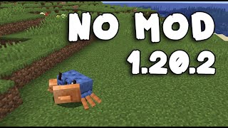 How to summon Crab  Minecraft 1202  No Mod [upl. by Dorraj957]