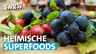 Im Herbst lecker und gesund Aronia Hagebutte Vogelbeere und Co  SWR Treffpunkt [upl. by Racso788]