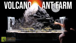 I Created a Volcano Ant Farm for Fire Ants [upl. by Lynnett]