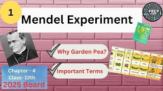 Mendel Experiment Trait  Allele  Genotype  Phenotype  Homozygous  Heterozygous  Ch4 [upl. by Yolane816]