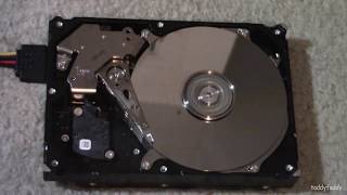 Broken Hard Disk Drive sounds like HighPitched Demonic Screeching [upl. by Richman]