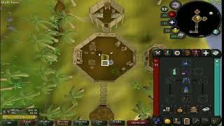 120KHR Runecrafting Exp  Crafting Nature Runes New Agility Shortcut [upl. by Bridget]