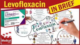 Levofloxacin  Levaquin  What is Levofloxacin Used For Dosage Side Effects amp Precautions [upl. by Auqinehs612]