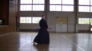 Toyama Ryu Iaido Yamaguchiha [upl. by Asquith]