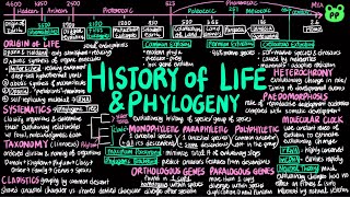 History of Life amp Phylogeny  Evolution amp Phylogeny 02  Biology  PP Notes  Campbell 8E Ch 2526 [upl. by Luce]