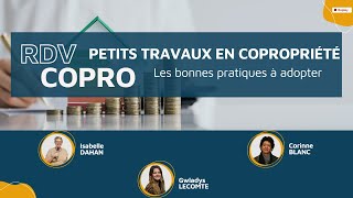 Petits travaux en copropriété  Les bonnes pratiques à adopter [upl. by Gnouc494]