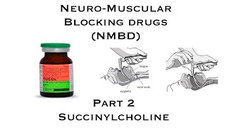 NeuroMuscular Blocking Drugs NMBD  Part 2  Succinylcholine [upl. by Seibold]