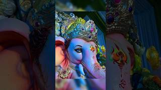 Jai Ganesha Jai Ganesha devaganapathi ganapthi Bappa [upl. by Lianne934]