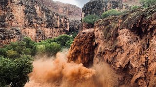 Havasupai Flash Flood 2024  Timeline [upl. by Aver]