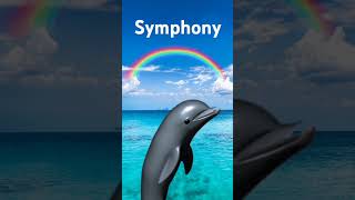 Symphony dolphin [upl. by Valsimot]