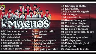 Banda Machos  30 Exitos [upl. by Aivalf282]