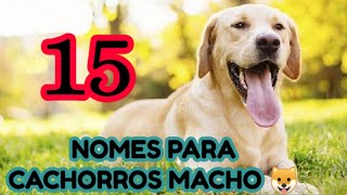 NOMES PARA CACHORROS MACHO 1  Lindos amp Fofos [upl. by Eneleuqcaj]