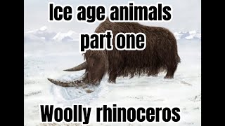 Ice age animals part one  Woolly rhinoceros [upl. by Frangos]