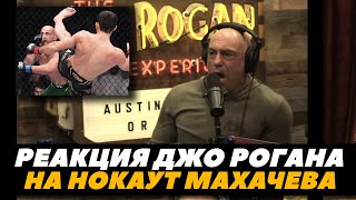 Реакция Джо Рогана на нокаут в бою Махачев  Волкановски 2  FightSpaceMMA [upl. by Edgardo]