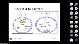 Network Pharmacological Techniques Next Generation Medicine Research Mode [upl. by Chessa430]