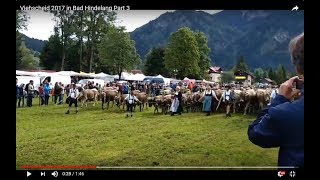 Viehscheid 2017 in Bad Hindelang Part 3 [upl. by Ardnuhsal287]