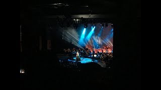 Evanescence Synthesis Live 2017 [upl. by Cohberg]