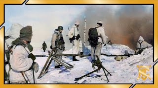 Escape From Stalingrad The Amazing Story Of A German Soldier The Eastern Front [upl. by Bamberger606]