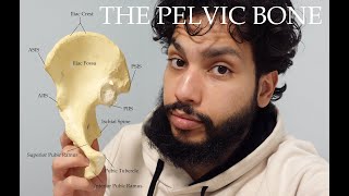 Making The Innominate Pelvic Bone Understandable [upl. by Adlih]