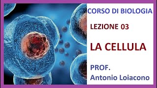 CORSO DI BIOLOGIA  Lezione 03  La Cellula [upl. by Viscardi]