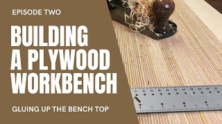 Plywood workbench build  Gluing up the bench top [upl. by Steady]