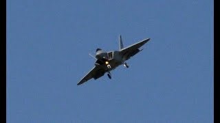 Freewing F22 Raptor JetFan 90 8S Maiden  4K UHD [upl. by Wain]