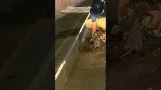 Removing Debris and Clearing Drains for a FloodFree Street satisfying trending shorts [upl. by Yruj]