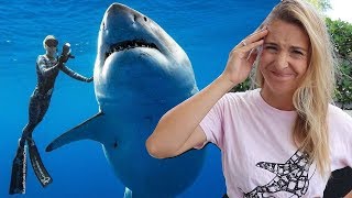 Should Ocean Ramsey touch Great White Sharks [upl. by Aeneus]