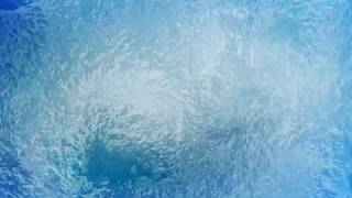 Frost  FREE Video Background Loop HD 1080p [upl. by Aldwin]