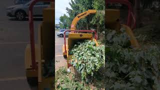 chipping up a tree tree treecutting [upl. by Sirromad]