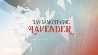 Ray LaMontagne  Lavender Audio [upl. by Ecirtra]