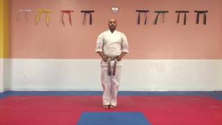 Short Form 1 American Kenpo Kata White Belt [upl. by Nallid]