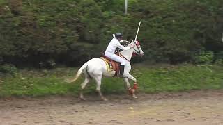 Lawrence School Lovedale Galloping Joy Equestrian Display [upl. by Runck]