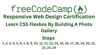 FreeCodeCamp Responsive Web Design Certification Learn CSS Flexbox By Building A Photo Gallery [upl. by Anniahs]