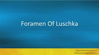 Pronunciation of the words quotForamen Of Luschkaquot [upl. by Owens]