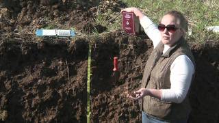 Soil Profiling Structure [upl. by Blane862]