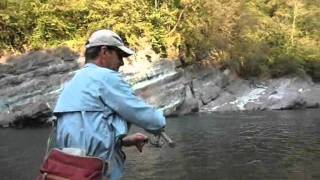 Lezione di pesca trota in torrente [upl. by Anoit]